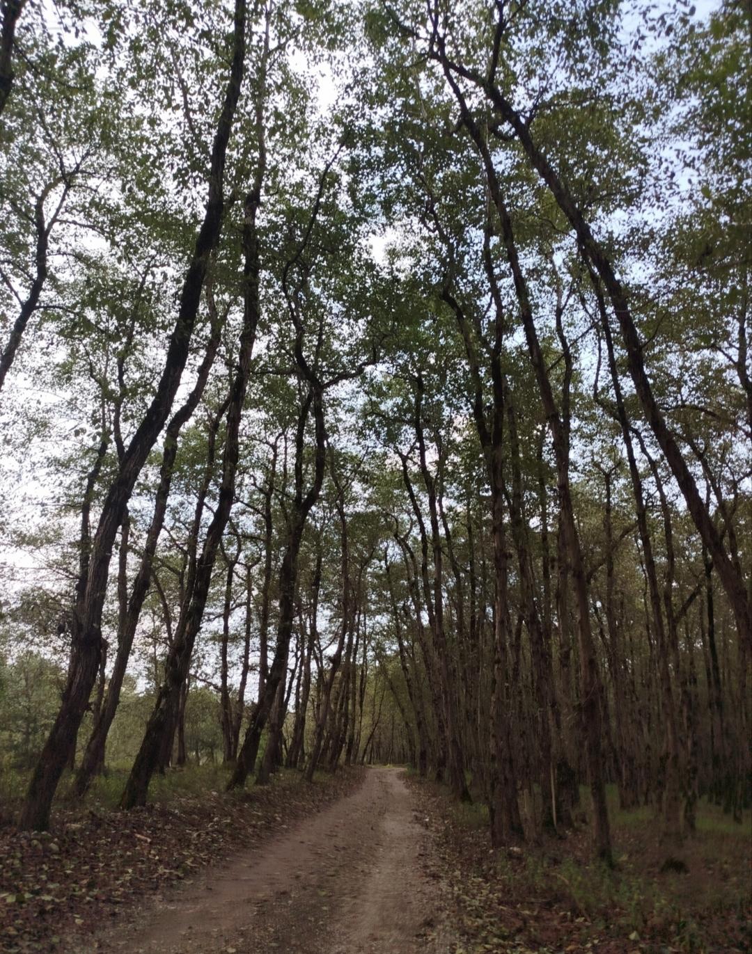 کمپینگ دریاچه جوربند - تصویر 1