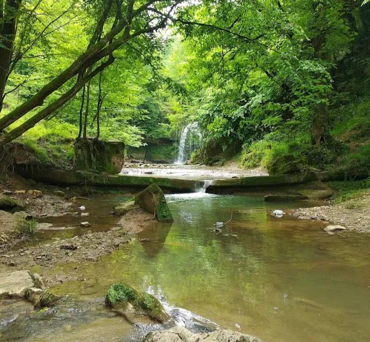 کمپینک و آبتنی - تصویر 2