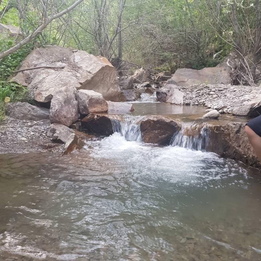 آبشار برگ جهان - تصویر 1
