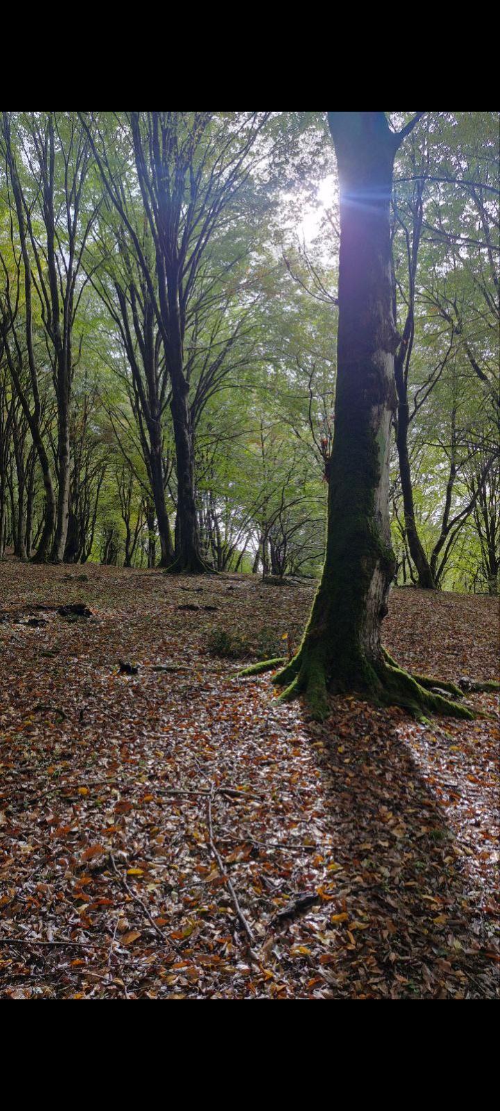 کمپ و آبگرم بلیران - تصویر 1